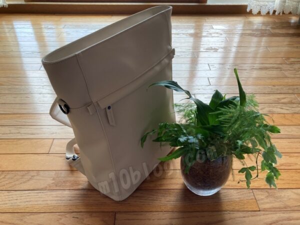 トーテと観葉植物室内